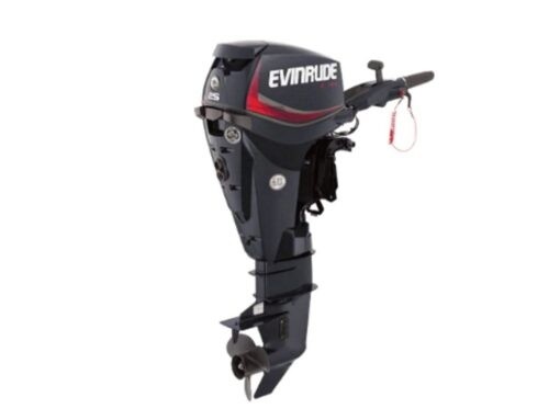 0 Evinrude E25DPSLAB/5 For Sale | Custom Marine | Statesboro Savannah GA Boat Dealer_1