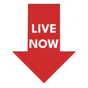 Home 1 arrow copy | Custom Marine